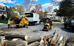 Best Hazardous Tree Removal  in Stilwell, OK