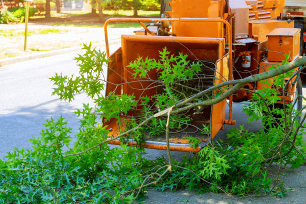 Best Commercial Tree Services  in Stilwell, OK