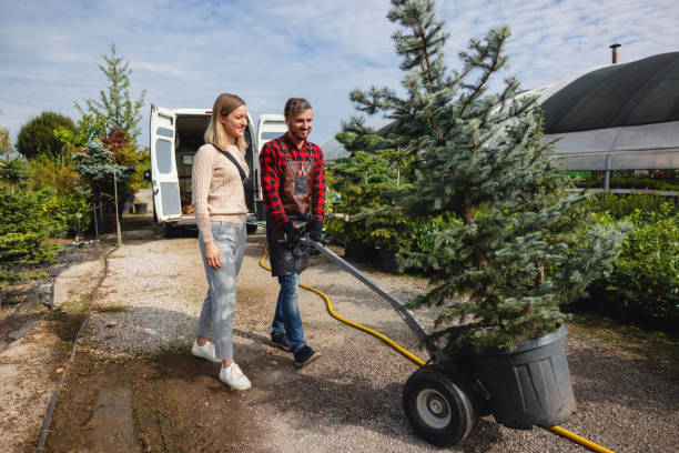 Best Tree Disease Treatment  in Stilwell, OK